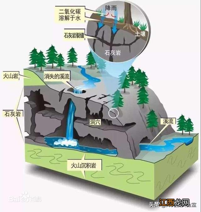 醋泡鸡蛋有什么功效 鸡蛋用醋泡七天有什么好处