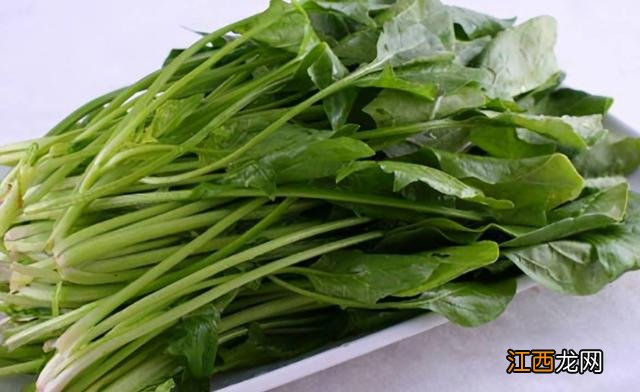 三月是什么菜生长 三月什么菜长得好看