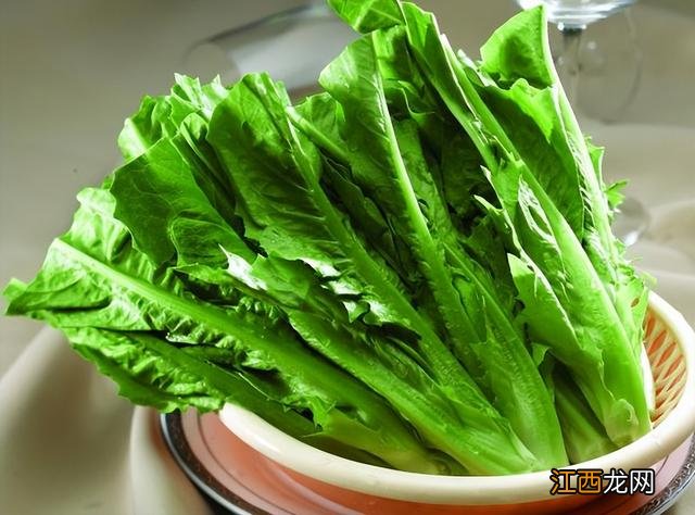 三月是什么菜生长 三月什么菜长得好看