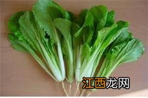 山药植物长什么样子 菜山药长什么样