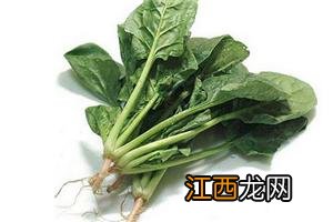 山药植物长什么样子 菜山药长什么样