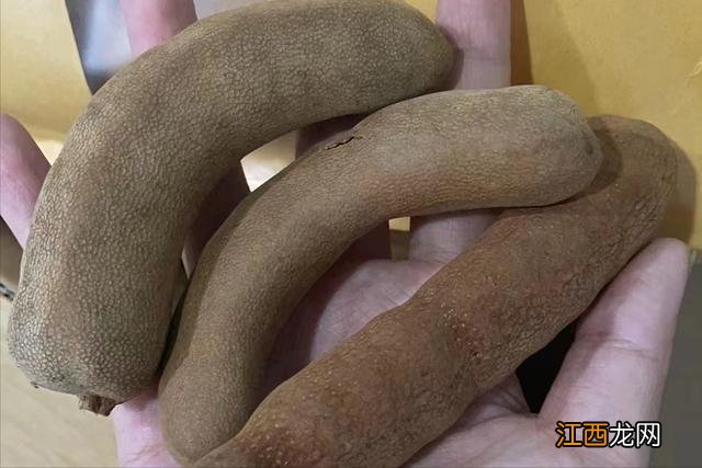 山楂是一种什么水果 广东山楂是什么水果品种