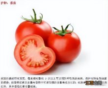 女性应多吃些什么食物 女人每天都应该吃的食物