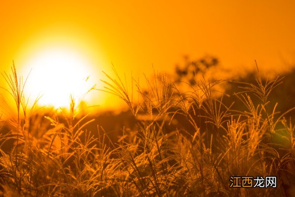 不畏浮云遮望眼,自缘身在最高层赏析登飞来峰典故