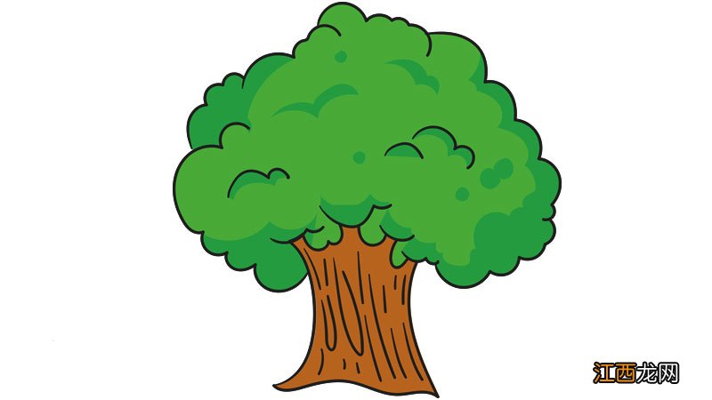 大树的简笔画 大树的简笔画怎么画