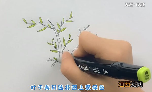 竹子的简笔画