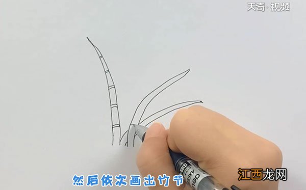 竹子的简笔画