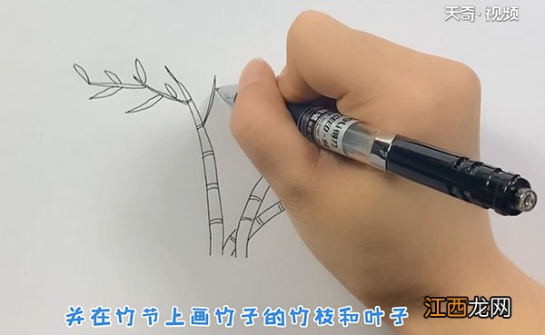 竹子的简笔画