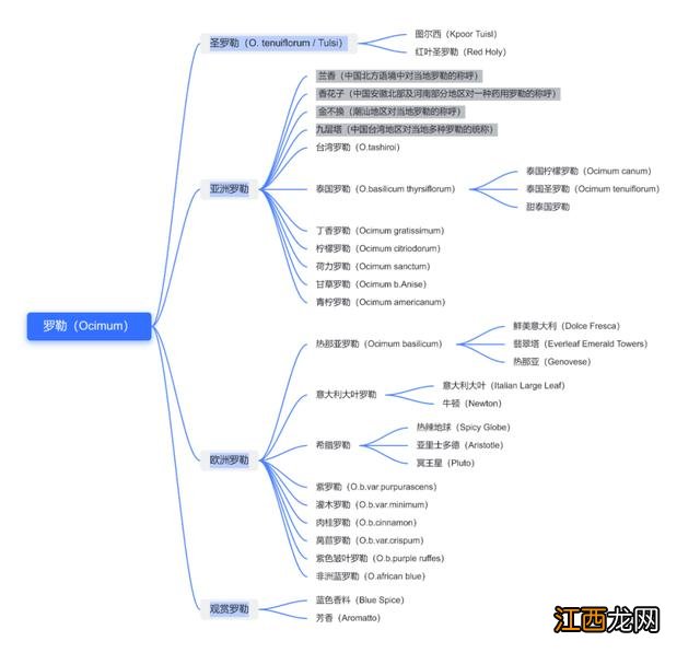 兰香子什么时候喝最合适？兰香子泡水，点击直接访问即可