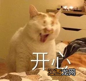 熬夜加班吃什么补身体?熬夜补肝最好的方法,你知道多少?长知识