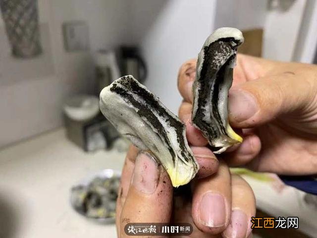 点赞收藏 苞米是什么样子的?北方苞米是什么,看完,记得