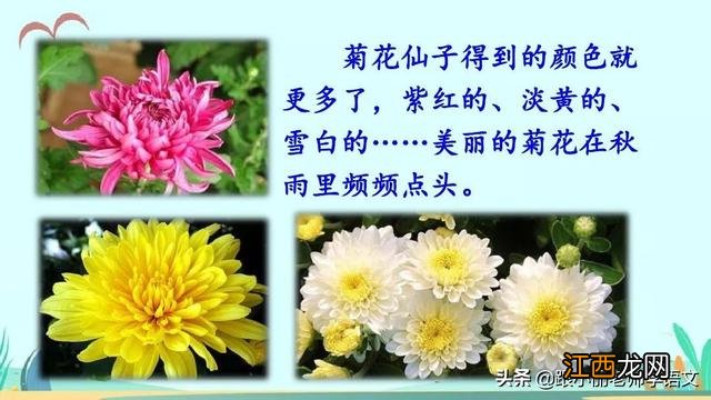 香甜的什么清凉的什么？香甜什么意思，重磅长文，太好了