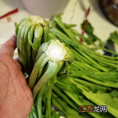 梅干菜是什么做的怎样制作？梅干菜是什么菜，你有所了解吗？