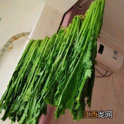 梅干菜是什么做的怎样制作？梅干菜是什么菜，你有所了解吗？