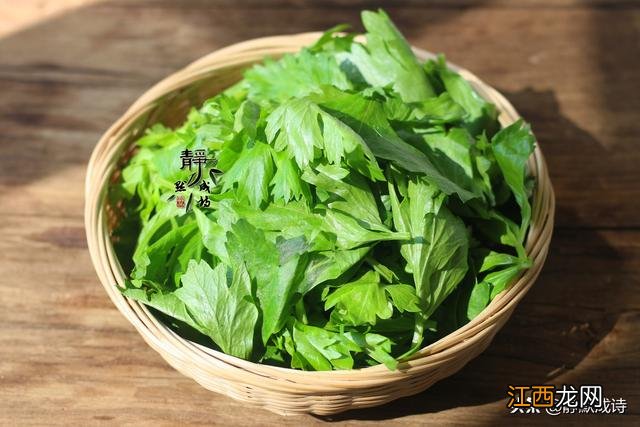 芹菜含什么维生素最好?芹菜有维生素吗,关键因素,看这篇文章