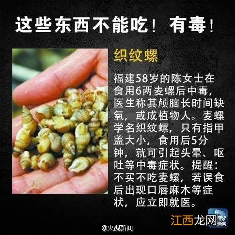 青菜为什么变苦？青菜特别苦怎么回事，很多人没有意识到