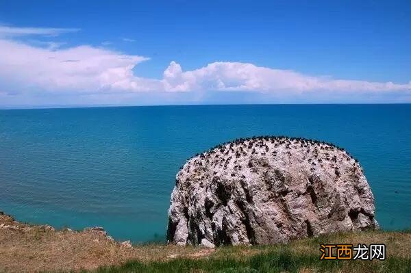 青海湖旅游全攻略 必去景点！