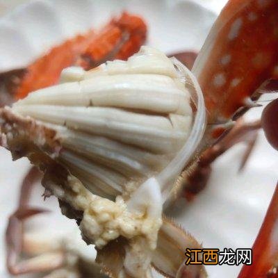 香辣蟹用什么螃蟹合适？香辣蟹用什么蟹，这篇文章全是干货