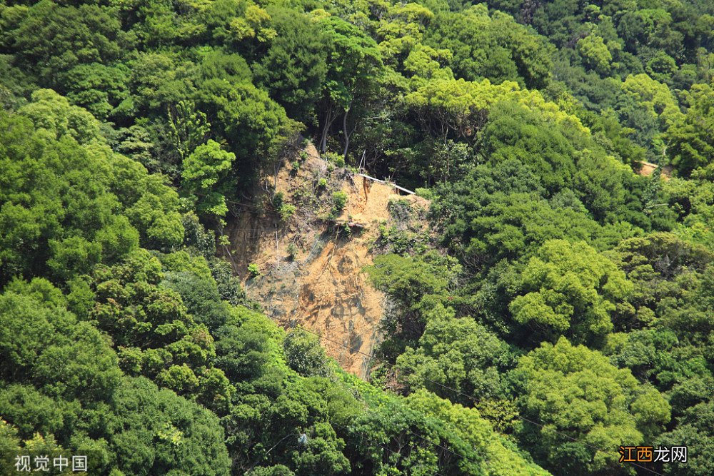 当遭遇到洪水，我们应当如何急救和自救？