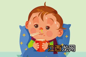 隐翅虫是什么虫子？