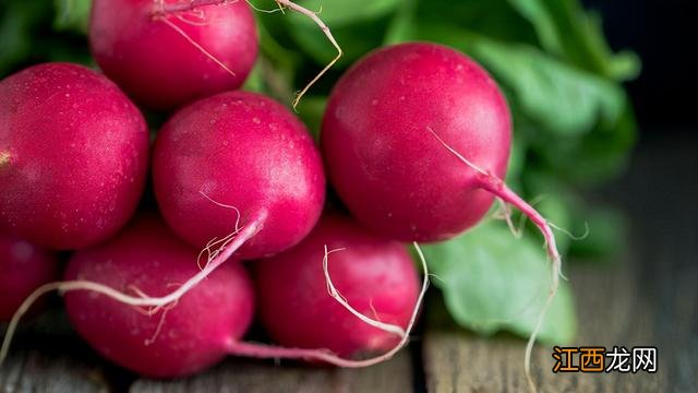 什么食物可以养脾胃?什么食物养脾,学习进行时,快看