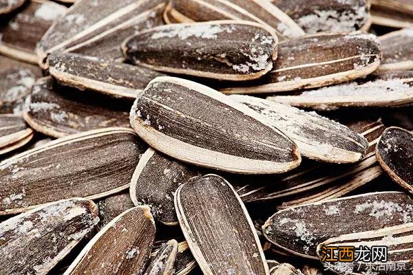 猪腰子猪肝猪脖子肉有致癌物质吗?吃猪腰子后呕吐怎么办,内容解读详细,赞!