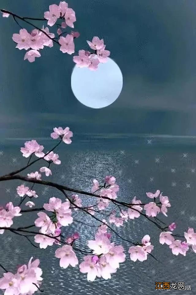 花好月圆的花指的什么花？花好月圆指的哪种花，有深度的文章