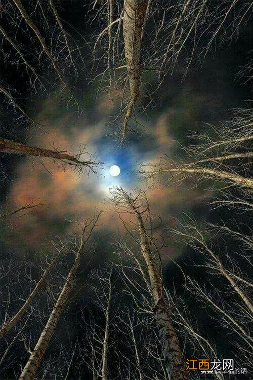 花好月圆的花指的什么花？花好月圆指的哪种花，有深度的文章