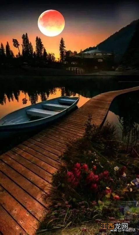 花好月圆的花指的什么花？花好月圆指的哪种花，有深度的文章