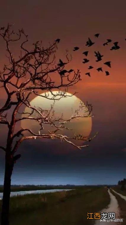 花好月圆的花指的什么花？花好月圆指的哪种花，有深度的文章