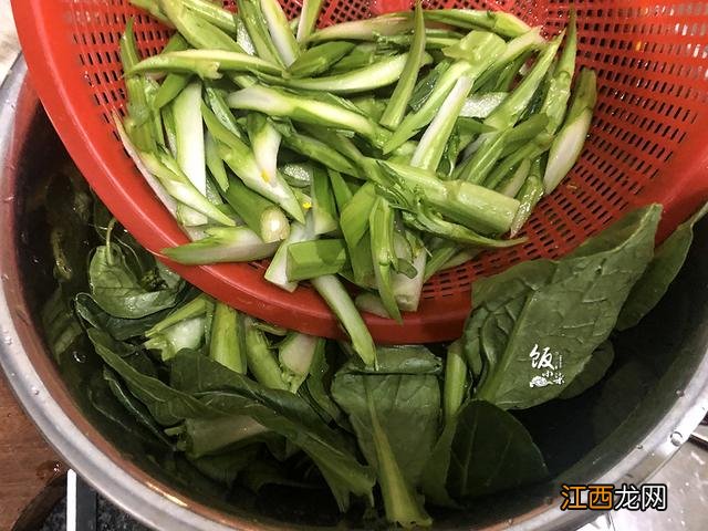 菜芯梗是什么菜？菜心家常做法，看完你绝对长知识!