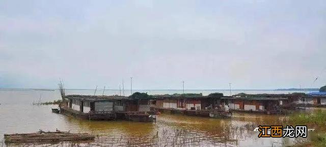 香草油可以用什么代替?什么油能代替千斤顶油,不了解的快到这里来