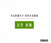 笋到底是什么意思？笋是什么长的，看完，会有全新的认知