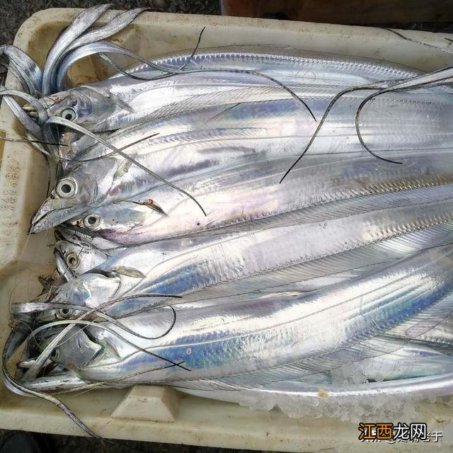 秋天鱼吃什么味道的料?秋天吃什么鱼,完整的看完之后,明白了