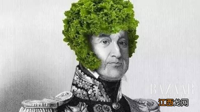 kale是什么菜？kale，一文讲清楚，来！