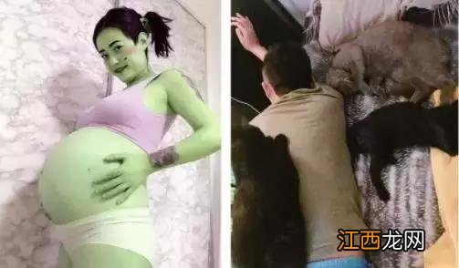 河里的鱼林为什么出现红斑?鱼有红斑图片,学起来简单又实用