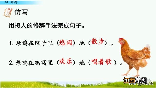 母鸡啥意思呢?母鸡什么意思网络用语,超有用!但很多人却不知道