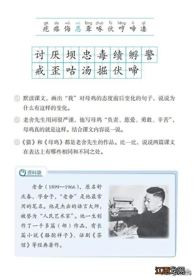 母鸡啥意思呢？母鸡什么意思网络用语，超有用！但很多人却不知道