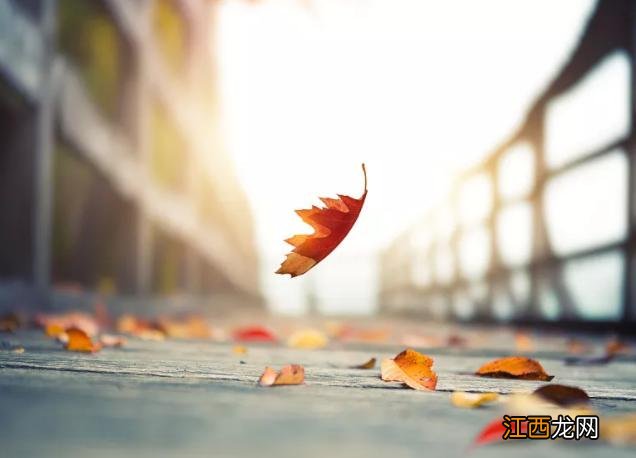 空调病前兆吃点什么?空调病最佳食疗方法,优秀文章,快来借鉴