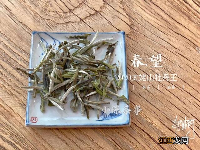 白茶什么时候喝好？白茶是属于什么茶，看懂这几点就够了