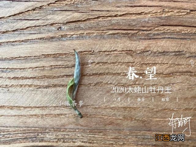 白茶什么时候喝好？白茶是属于什么茶，看懂这几点就够了