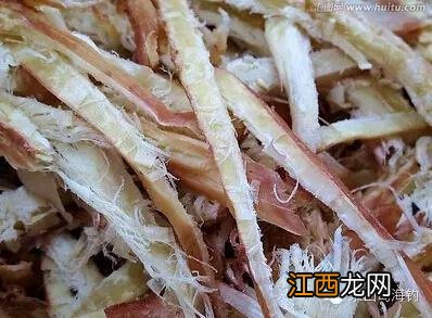 鱿鱼是什么样子？鱿鱼坏了是什么样，总结了这几点，快看