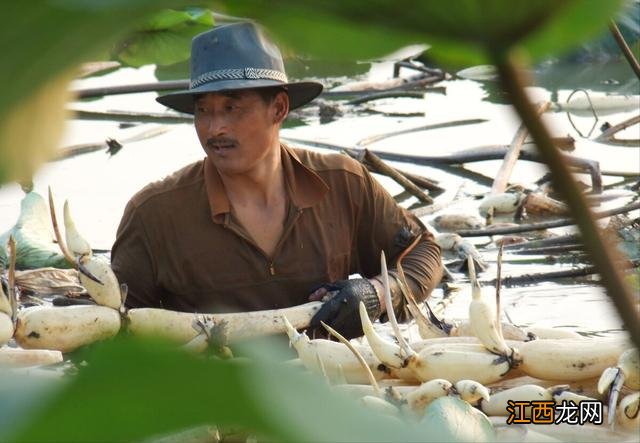 秋季养生喝什么好呢？秋季养生最佳方法，总结了这几点，快看