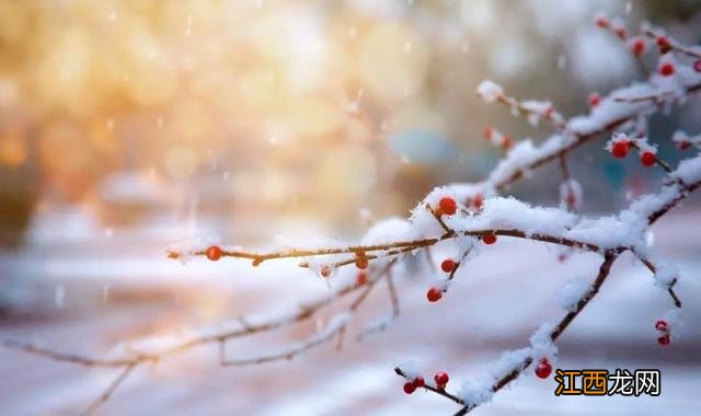 秋冬适合喝什么茶叶?最适合长期喝的六种茶,此文章值得细品