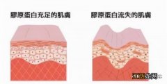 明胶片可以做什么东西？明胶片可以做什么吃的，简单无难度