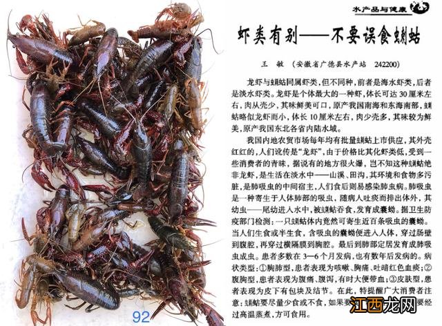 龙虾喜欢吃什么食物啊？龙虾爱吃的10种食物，看此文，一探究竟