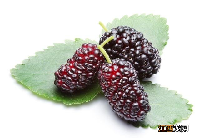 什么水果补胃养胃?补胃的食物和水果,看完,似乎明白了些什么