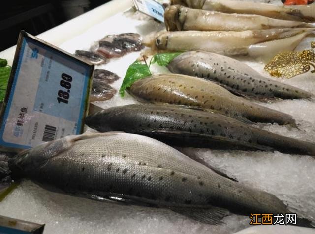 炉鱼店用的什么鱼?鲈鱼是海鱼还是淡水鱼,用处大,科普文章