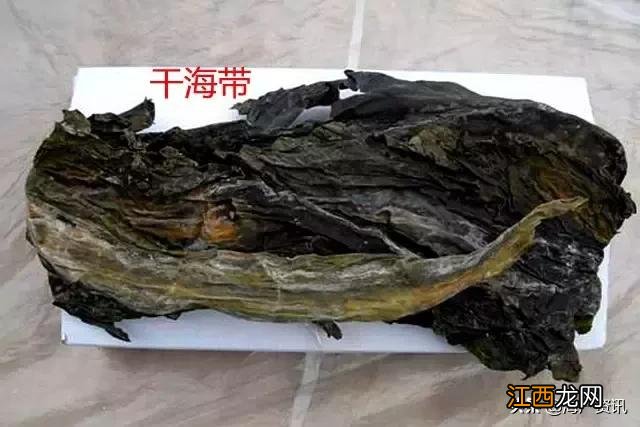 贝壳和小虾有什么区别？贝壳上怎么会有贝壳呢，看这里，给你答案