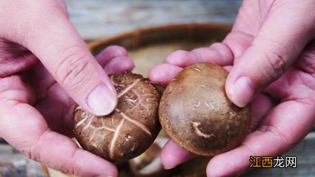 鲜香菇不能和哪些东西一起吃?新鲜香菇不能与什么一起吃,实在太有用了